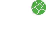 Spiber Logo